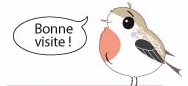 les oiseaux a paris
